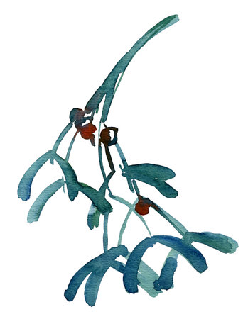 Mistletoe sketch isolated on white backgroundの写真素材