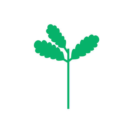 Seedling icon. Green growing tree on whiteのイラスト素材