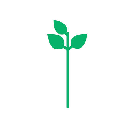 Seedling icon. Green growing tree on whiteのイラスト素材