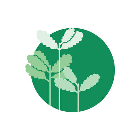 Seedling icon. Green growing tree on whiteのイラスト素材