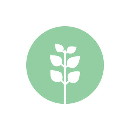 Seedling icon. Green growing tree on whiteのイラスト素材
