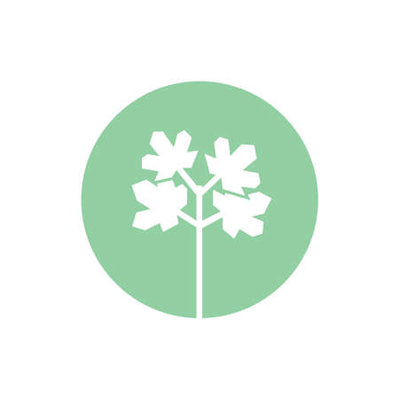 Seedling icon. Green growing tree on whiteのイラスト素材