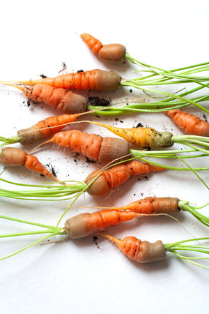 carrots with soil and green leaves on whiteの写真素材