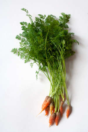 bunch of carrots with green leaves on whiteの写真素材