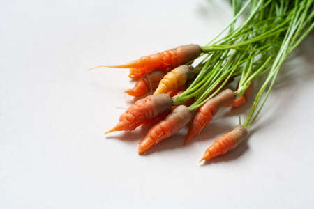 bunch of carrots with green leaves on whiteの写真素材