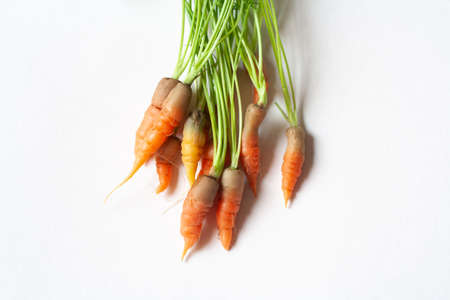 bunch of carrots with green leaves on whiteの写真素材