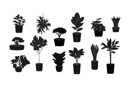 Set of silhouette pot plants icons on whiteのイラスト素材