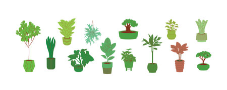 Pot plants, set of flat icons isolated on whiteのイラスト素材