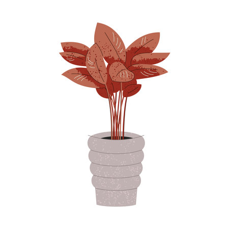 Illustration of Calathea plant in pot on whiteのイラスト素材