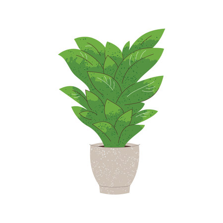 Illustration of Kroton plant in pot on whiteのイラスト素材