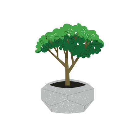 Illustration of Crassula plant in pot on whiteのイラスト素材