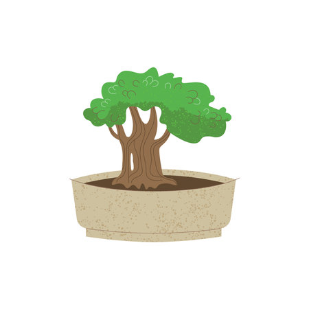 Bonsai tree in pot isolated on white, illustrationのイラスト素材