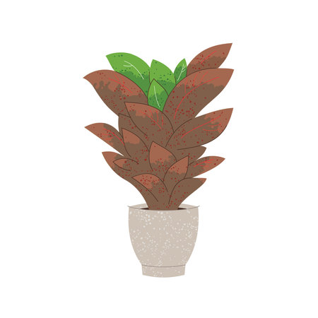 Illustration of Kroton plant in pot on whiteのイラスト素材
