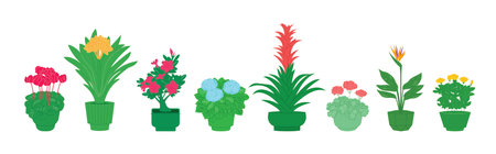 Blooming house plants, set of flat icons on whiteのイラスト素材
