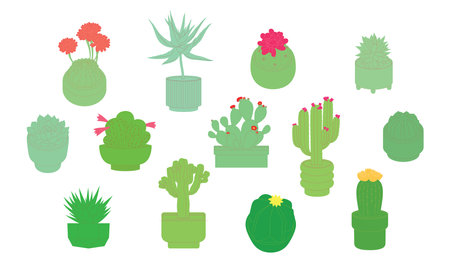 Big set of colorful simple cactus iconsのイラスト素材