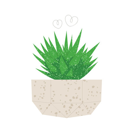 Haworthia in flowerpot. Trendy flat style illustrationのイラスト素材
