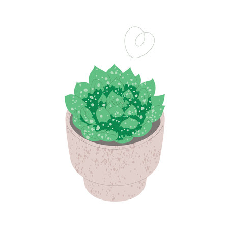 Echeveria in flowerpot. Trendy flat style illustrationのイラスト素材