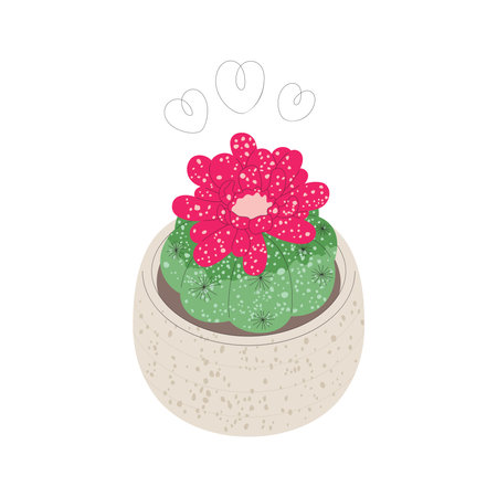 Chin cactus in flowerpot. Trendy flat style illustrationのイラスト素材