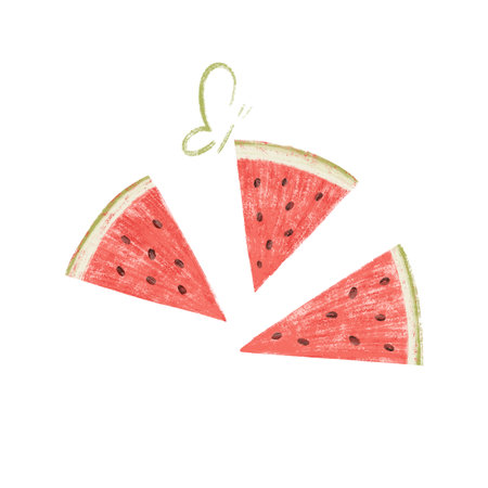 Illustration of a watermelon wedgesの写真素材
