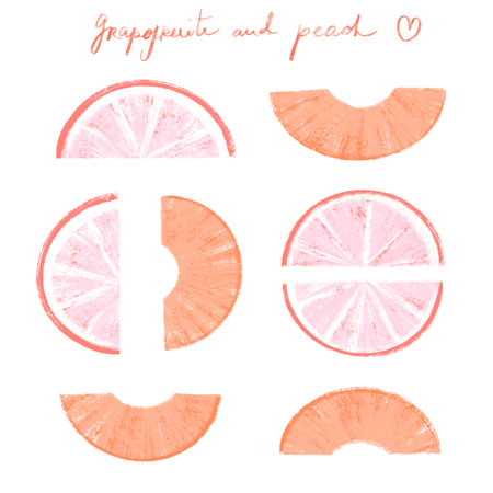 Slices of pink grapefruit and peach on whiteの写真素材