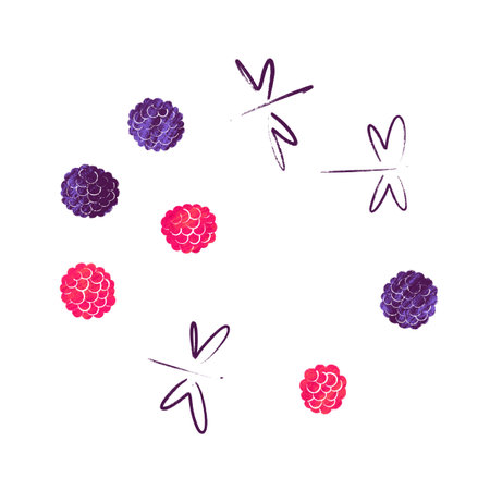 Raspberries, blackberries and dragonflys on whiteの写真素材
