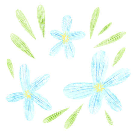A close up blue wild flowersの写真素材