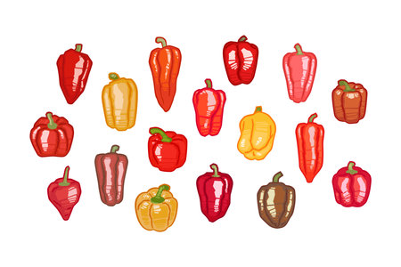 Various bell pepper illustration, set of iconsのイラスト素材