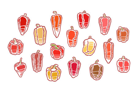 Various bell pepper illustration, set of iconsのイラスト素材