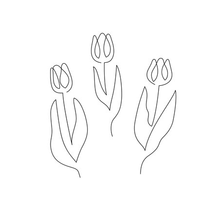 Tulip one line drawing. Hand drawn sketch of flower with leaves.のイラスト素材