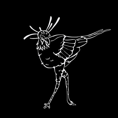 Hand-drawn pencil graphics, secretary bird, eagle, hawk, osprey. Engraving, stencil style. Black and white logo, sign, emblem, symbol. Stamp, seal. Simple illustration. Sketch.のイラスト素材