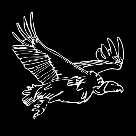 Hand-drawn pencil graphics, african vulture, hawk. Engraving, stencil style. Black and white logo, sign, emblem, symbol. Stamp, seal. Simple illustration. Sketch.のイラスト素材