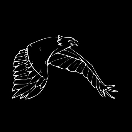 Hand-drawn pencil graphics, vulture, eagle, osprey, falcon, hawk, scavenger, condor, karkar, kite. Engraving, stencil style. Bird predator. Black and white logo, sign, emblem, symbol. Stamp, seal. Simple illustration. Sketch.のイラスト素材