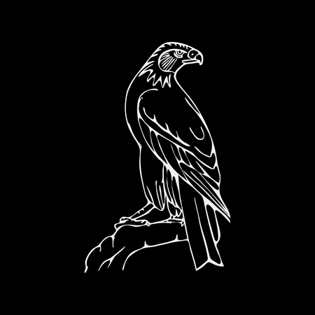 Hand-drawn pencil graphics, vulture, eagle, osprey, falcon, hawk, scavenger, condor, karkar, kite. Engraving, stencil style. Bird predator. Black and white logo, sign, emblem, symbol. Stamp, seal. Simple illustration. Sketch.のイラスト素材