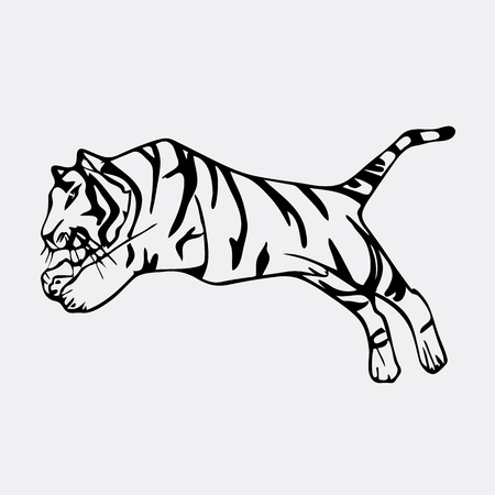 Hand-drawn pencil graphics, tiger head. Engraving, stencil style. Black and white logo, sign, emblem, symbol. Stamp, seal. Simple illustration. Sketch.のイラスト素材