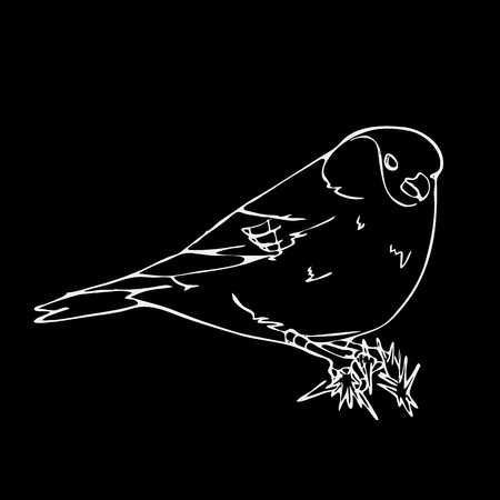 Hand-drawn pencil graphics, bird, lark, oriole, chickadee, sparrow, blackbird, nightingale, finch, bunting, hangbird, goldfinch, raven, magpie, woodpecker, canary, bullfinch, siskin. Engraving, stencil style. Black and white logo, sign, emblem, symbol. Stのイラスト素材