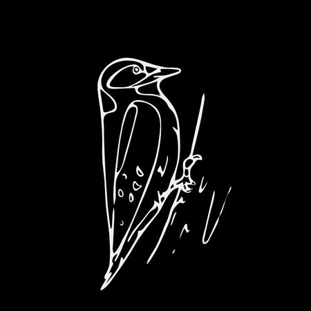 Hand-drawn pencil graphics,small bird, starling, woodpecker. Engraving, stencil style. Black and white logo, sign, emblem, symbol. Stamp, seal. Simple illustration. Sketch.のイラスト素材