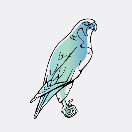 Hand-drawn pencil graphics, vulture, eagle, osprey, falcon, hawk, scavenger, condor, karkar, kite.Engraving, stencil style. Bird predator.Logo,sign,emblem,symbol Stamp,seal. Simple illustration Sketchのイラスト素材