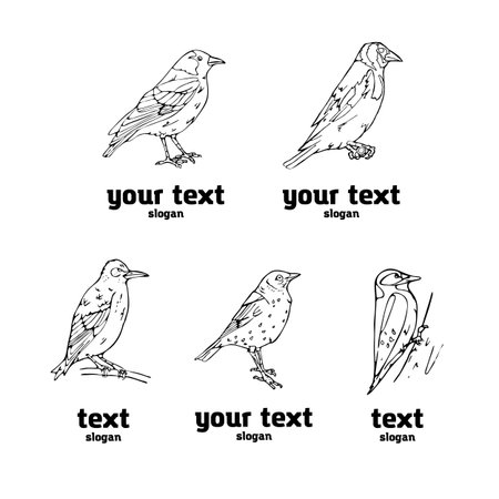 Birds engraved style. Set emblem. Bird, oriole, chickadee, sparrow, blackbird, nightingale, finch, bunting, hangbird, goldfinch, canary, bullfinch, siskin. Engraving, stencil style. Logo, sign,  symbol. Stamp, seal. Simple sketch.のイラスト素材