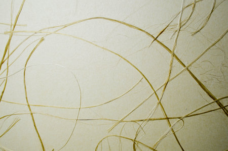 Dry yellow grass on beige papyrus, background.