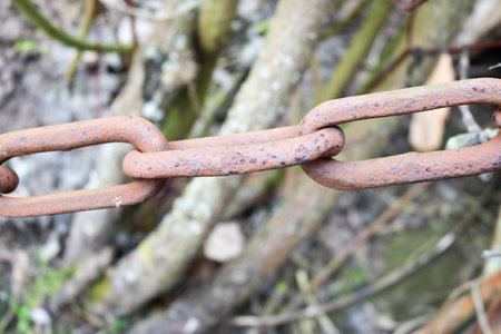 Rusty oxidized brown old ancient vintage strong forged metal iron chain with connected links on the background of branches and sticks.の写真素材