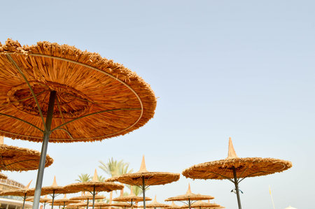 Beautiful straw natural sun umbrellas in the form of hats and green palms in a tropical desert resort, rest against the blue sky.の写真素材