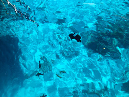 Texture of beautiful blue sea-transparent transparent wet, iridescent, glowing salt water, sea,...