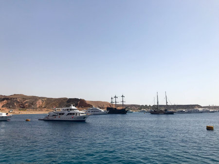 A variety of motor and sailing ships, boats, cruise liners stand on a dock in the port against the...