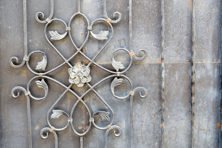 The texture of a metal strong fence, a wall with a beautiful pattern of wrought iron flower with...