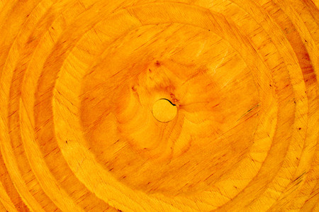 The texture of a yellow circular unique beautiful pattern made of wood with age mosses with wooden streaks of knots and fibers. The background.の写真素材