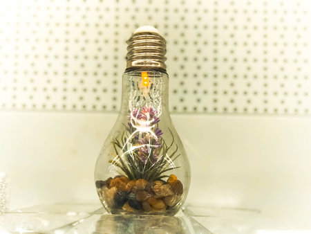 A small green organic plant flower grows inside a glass light bulb. Concept: ecology, protection of...