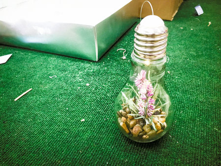 A small green organic plant flower grows inside a glass light bulb. Concept: ecology, protection of...