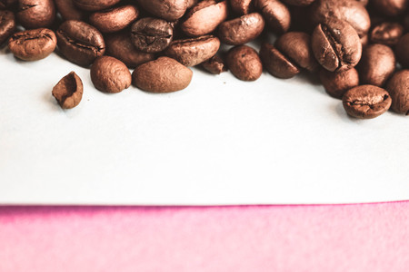 Beautiful texture of freshly roasted selected delicious rich brown natural fragrant coffee tree grains, Arabica coffee beans, Robusta. Flat lay and copy space on pink blue background.の写真素材