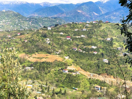 The view from the top from a height of a beautiful tourist city with buildings and houses, roofs of...
