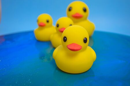 Beautiful yellow rubber bathtub toy ducks swim on a blue water background.の写真素材